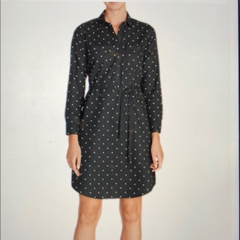 Grey Polka Dot Flannel Shirt Dress